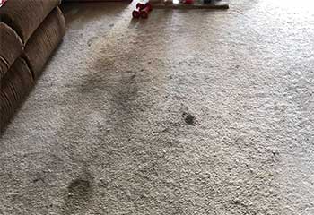 Berber Carpet Cleaning | Carpet Cleaning Orange, CA Berber Carpet Cleaning | Carpet Cleaning Orange, CA